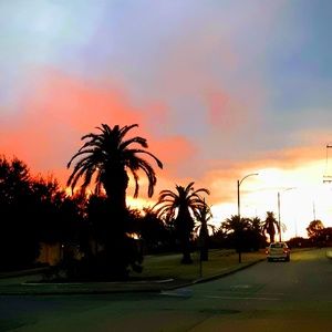 Meet your Posher, Marion